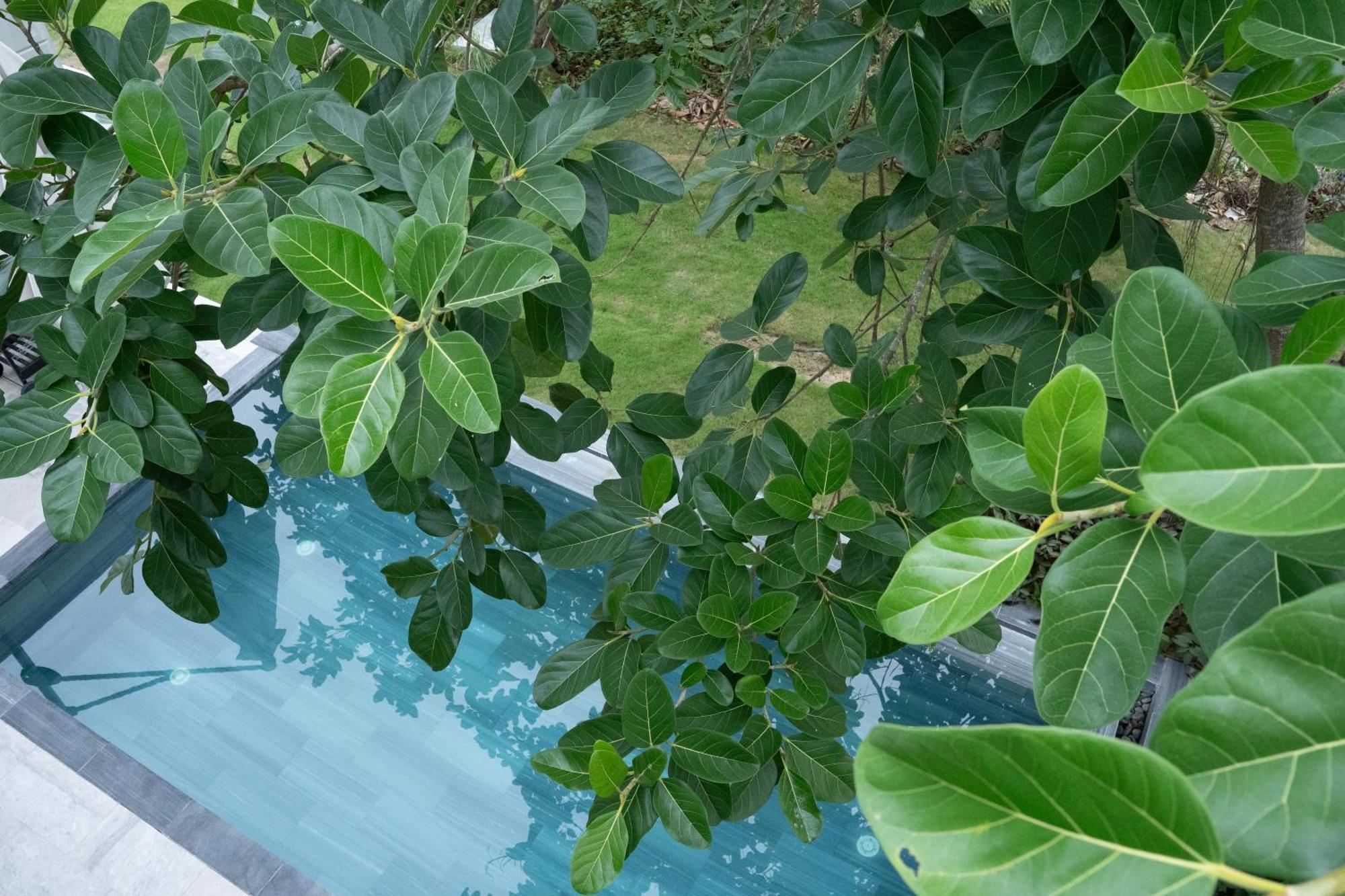 "Brg Golf Club" - Danang Private Pool Villa 3 Bedrooms #3 Exterior photo
